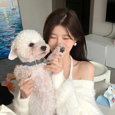 巅峰拍档第四季